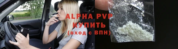 сатива Козельск