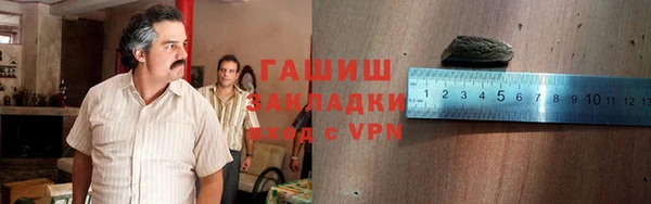 сатива Козельск