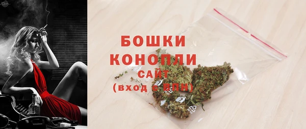 сатива Козельск