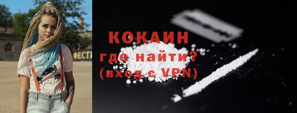 сатива Козельск