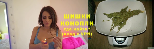 сатива Козельск