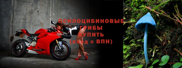 прущая мука Кодинск
