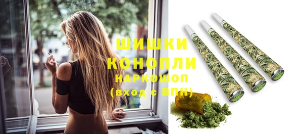 сатива Козельск